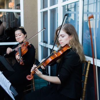 Gemini Strings - Musicians Near Me Gemini Strings - Musicians Near Me