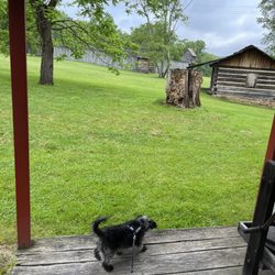 Prickett's Fort State Park