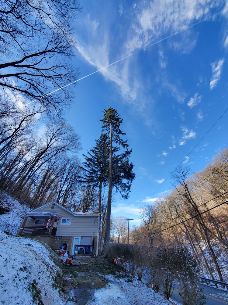 Frank Booths  - tree service in Ocean Park , PA