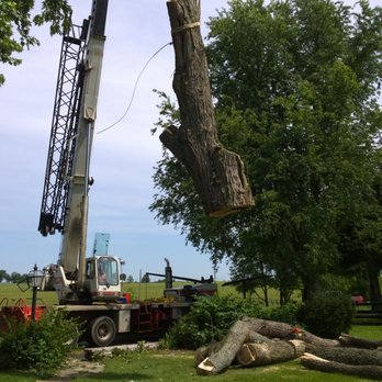 Arlington Tree Service - Our team with tree removal in a crane. - Tree Services Near Me - Lexington, Kentucky