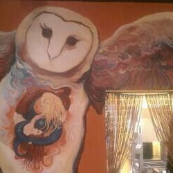 Owl Sprit Cafe