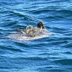 Napali Seabreeze Tours