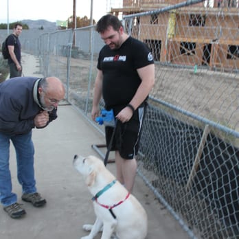 D For Dogz - The world is full of surprises and people don't always follow a protocol - learning to sit politely while "strangers" say hello! - Pet Training Near Me D For Dogz - The world is full of surprises and people don't always follow a protocol - learning to sit politely while "strangers" say hello! - Pet Training Near Me