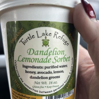 Turtle Lake Refuge Cafe - Dandelion Lemonade Sorbet - Vegan Near Me - Durango, Colorado