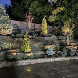 Anthony and Sons Landscape Design & Consulting - One year ago. He did an amazing job already.