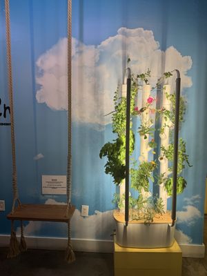 The Cocinita by null