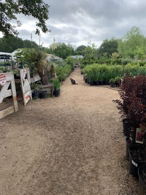 ENCHANTED GARDENS - 108 Photos & 55 Reviews - Nurseries & Gardening