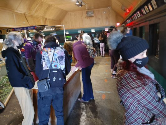 Seaside Aquarium by null