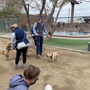 EarthDog Denver - Swimming pool! - Pet Sitting Near Me - Denver, Colorado