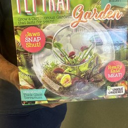 Venus fly trap