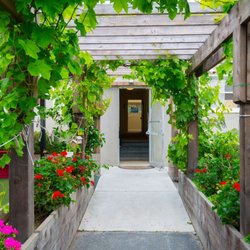 Global Montessori International School - Garden Playground Area