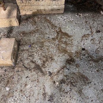GC Realty & Development - Basement floor - Property Management Near Me - Roselle, Illinois