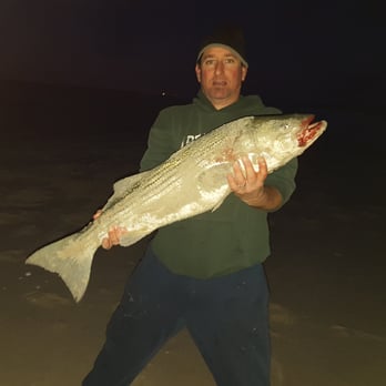 Betty and nicks bait Clearance