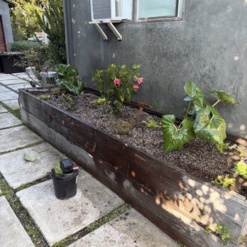 Flora Grubb Gardens - Nurseries & Gardening Near Me - Marina del Rey, California