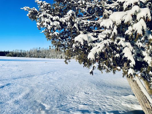 Golden Eagle Lodge by null