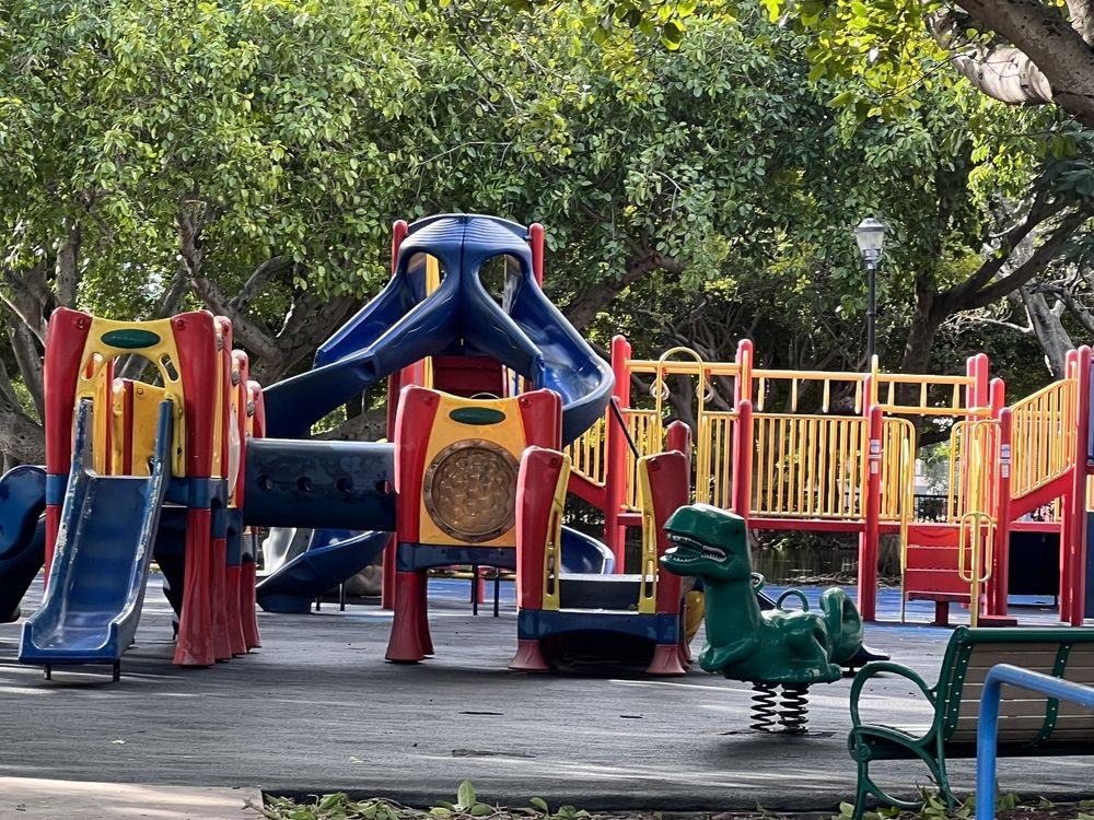 Flamingo Park Image