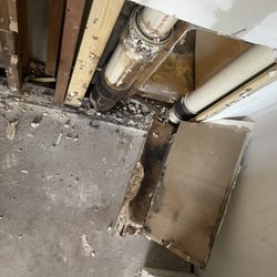 Mold Man Of SWFL
