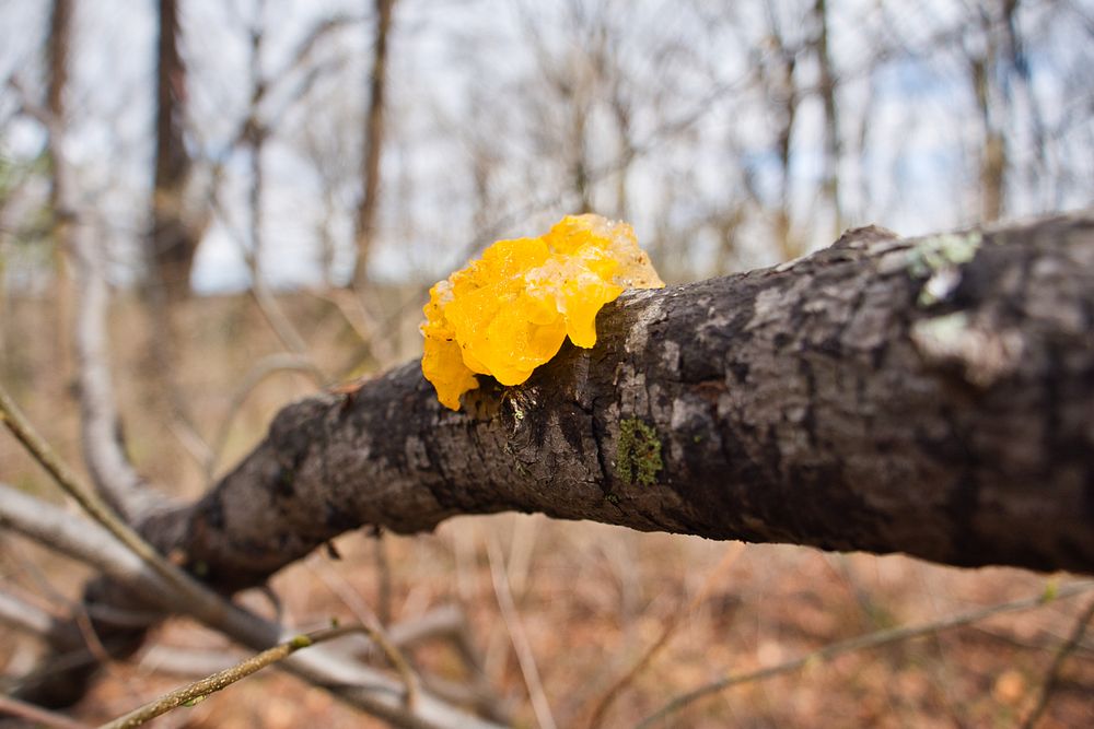 TATUM PARK Updated September 2024 31 Photos 140 Holland Rd