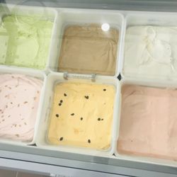 Scoopz Ice Cream - Mexican Ice Cream