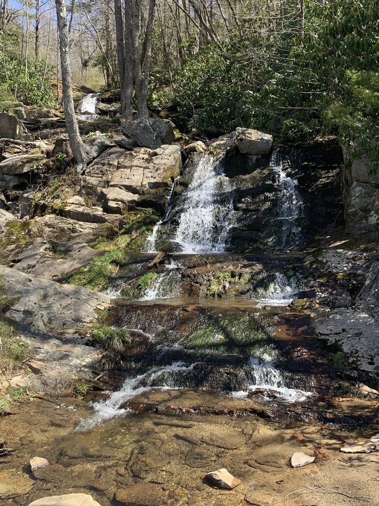 Waterfalls Park Logo