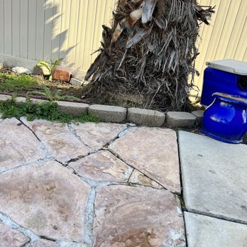 Rudy Tree Service - Ruining the concrete - Tree Services Near Me