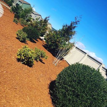 Sage Landscape Maintenance - Meridian Campus - Campus Springs - Irrigation Near Me - Olympia, Washington Sage Landscape Maintenance - Meridian Campus - Campus Springs - Irrigation Near Me - Olympia, Washington