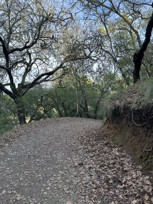 North Sonoma Mountain Regional Park by null