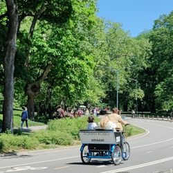 New York Pedicab Services - Pedicab in Central Park