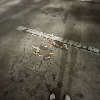 Taco Bell - Dirty lot - Fast Food Near Me - Hollywood, Florida Taco Bell - Dirty lot - Fast Food Near Me - Hollywood, Florida