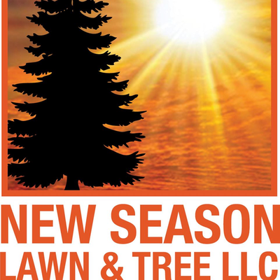 New Season Lawn and Tree
