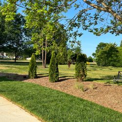 Trees and Plants Nursery and Garden Center - Newly laid sod and cleared areas with Nee beds.