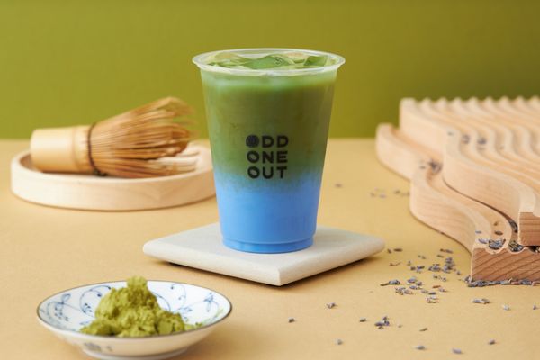 Odd One Out Tea Sawtelle by null