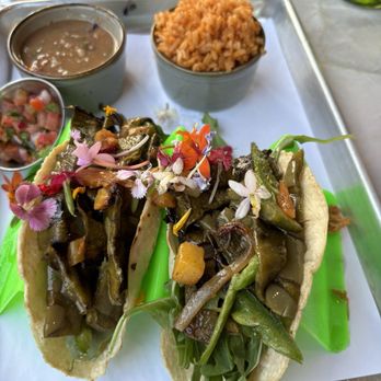 Neon Cactus - Prickly cactus taco - Salad Near Me - Fairview, Texas Neon Cactus - Prickly cactus taco - Salad Near Me - Fairview, Texas