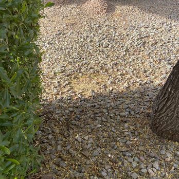 Sun Valley Yard Service & Landscape - Yard was not blown out! We were lied to. - Landscaping Near Me - Wittmann, Arizona Sun Valley Yard Service & Landscape - Yard was not blown out! We were lied to. - Landscaping Near Me - Wittmann, Arizona
