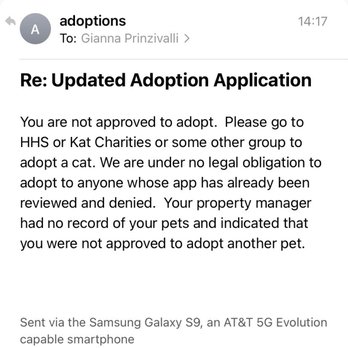 Poi Dogs and Popoki - Pet Adoption Near Me Poi Dogs and Popoki - Pet Adoption Near Me