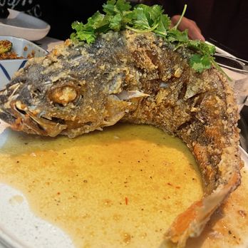 Kingfisher - Whole Fried Rock Fish - Vietnamese Near Me - San Diego, California Kingfisher - Whole Fried Rock Fish - Vietnamese Near Me - San Diego, California