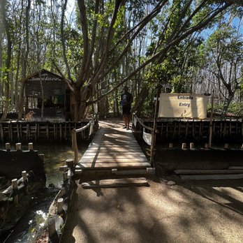 Yucatan Cenote - Tours Near Me