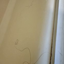 Rogue River Landing RV & Resort - Hair in tub.