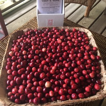 Cranberry Square Market - a basket of cranberries - Farmers Market Near Me - Manitowish Waters, Wisconsin