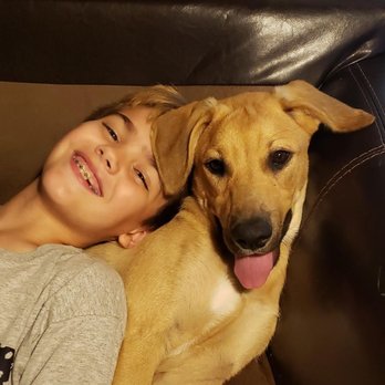 Sky-tastic Treats - Pet Stores Near Me - Corinth, Texas Sky-tastic Treats - Pet Stores Near Me - Corinth, Texas