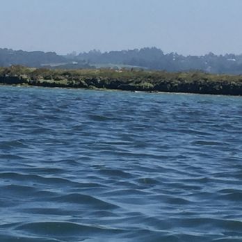 Elkhorn Slough - Parks Near Me - Moss Landing, California