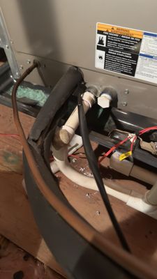 Gold Medal Service Logo