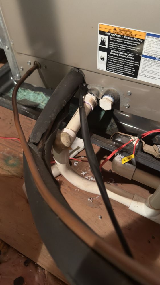 Slide of Gold Medal Service