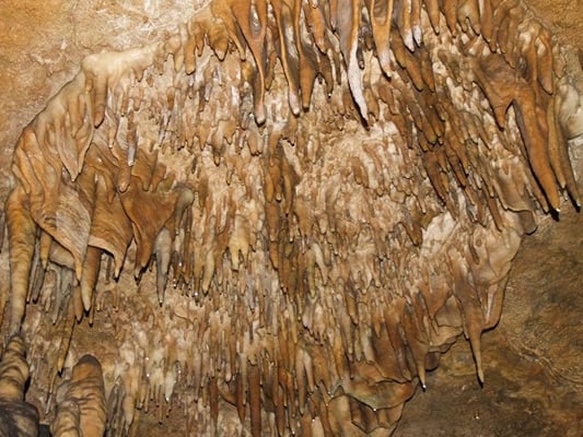 Raccoon Mountain Caverns and Campground by null