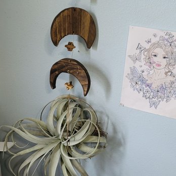Mis Plantitas - Local artist and air plant - Nurseries & Gardening Near Me - Wauconda, Illinois Mis Plantitas - Local artist and air plant - Nurseries & Gardening Near Me - Wauconda, Illinois