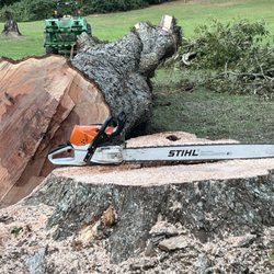Live Oaks Tree Services 