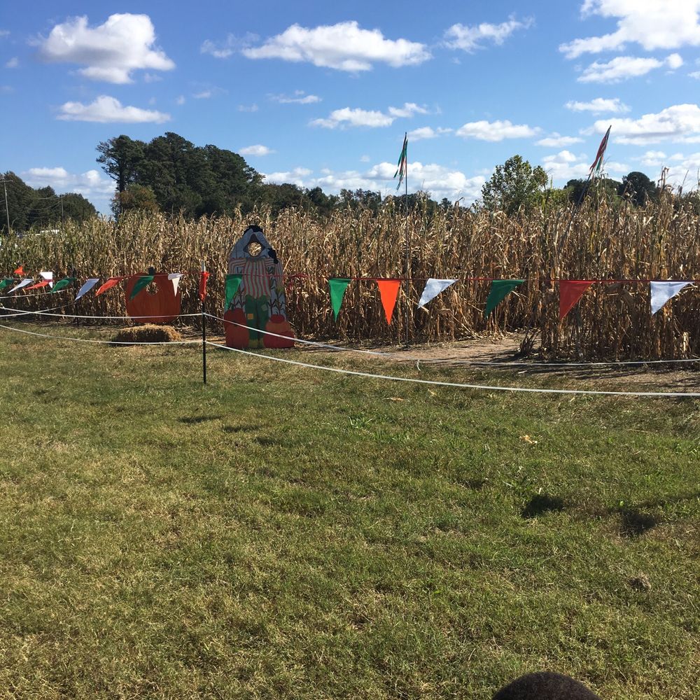 Corn fields