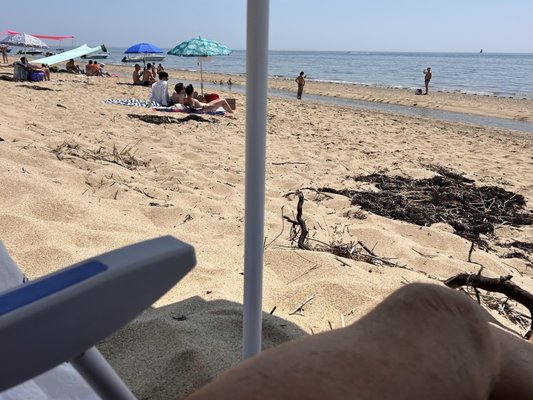 Herring Cove Beach by null