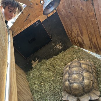 Agua Hedionda Lagoon Foundation - Tortoise - Community Service/Non-Profit Near Me - Carlsbad, California Agua Hedionda Lagoon Foundation - Tortoise - Community Service/Non-Profit Near Me - Carlsbad, California