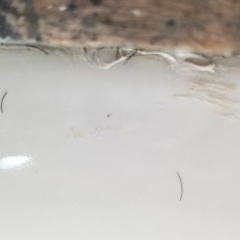 Starlight Inn - when I arrived,  beard shavings in sink. I think that's what they were. I rinsed most down the drain before I decided to take pictures. - Hotels Near Me - Canoga Park, California